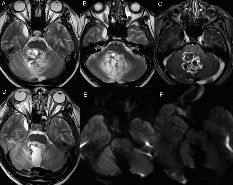 Fig. 4.