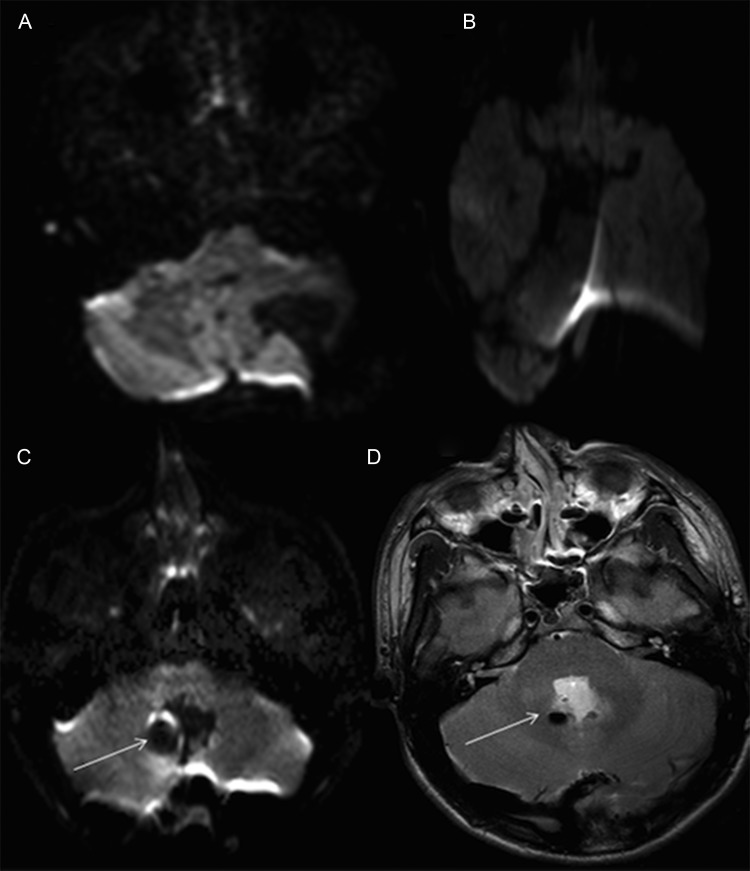 Fig. 2.