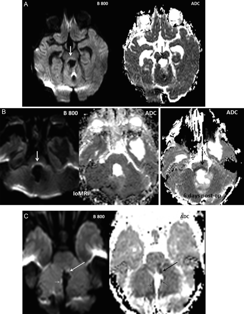 Fig. 3.