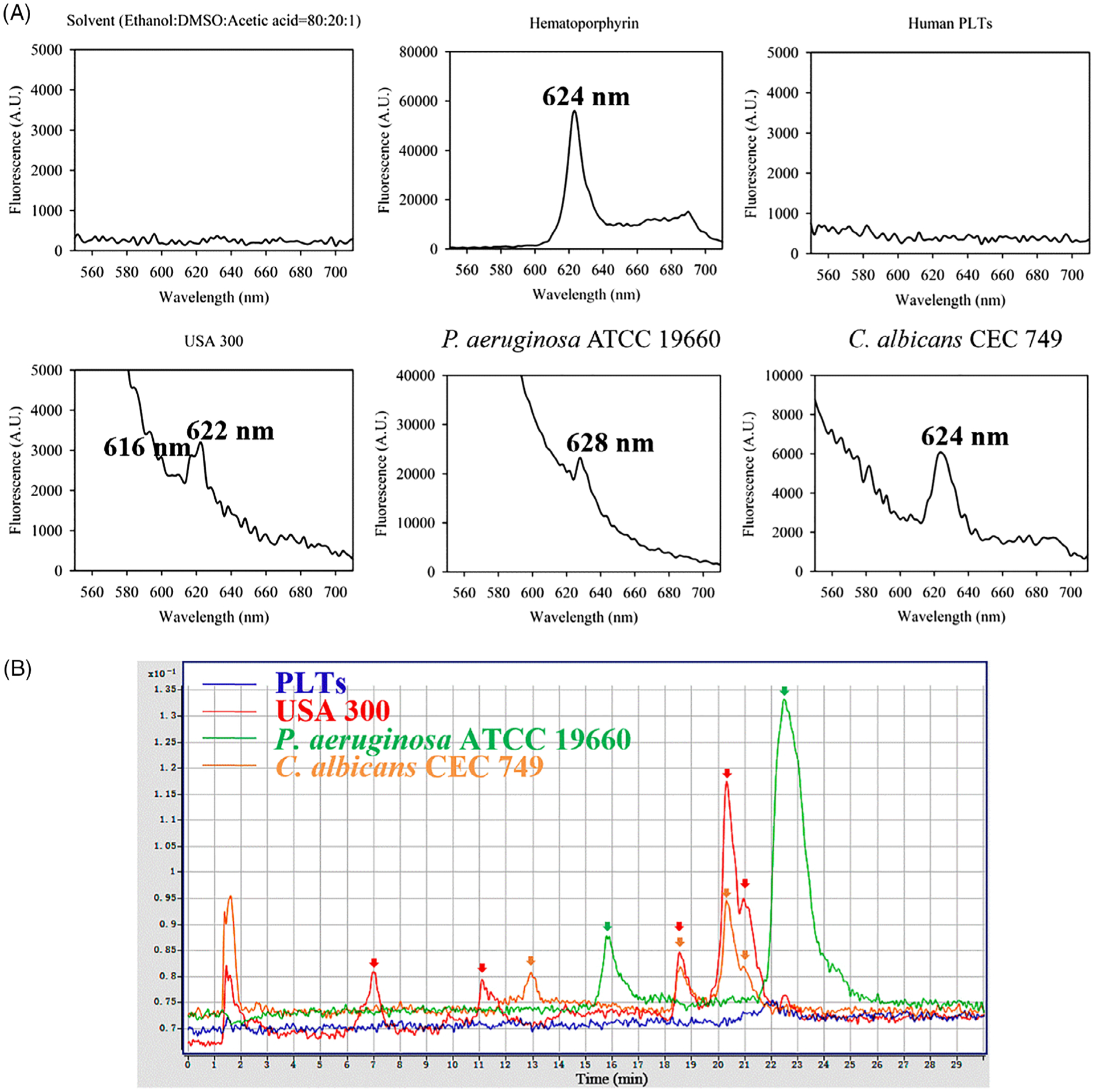 FIGURE 1