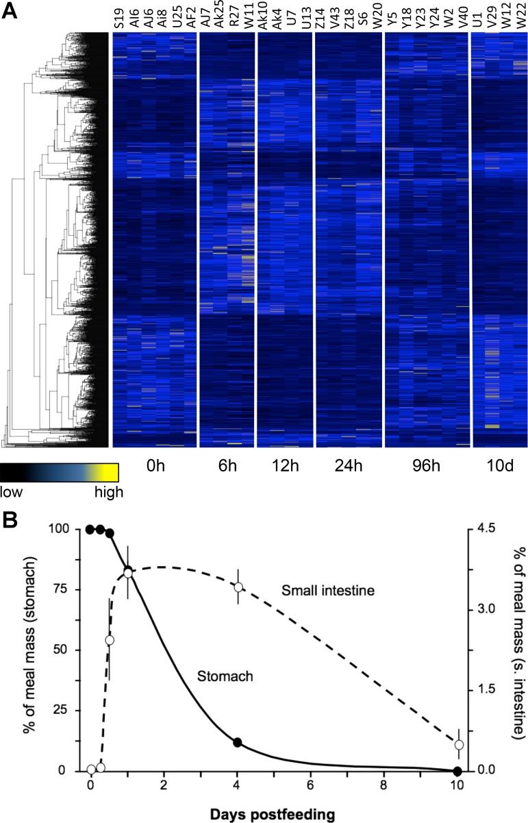 Fig. 3.