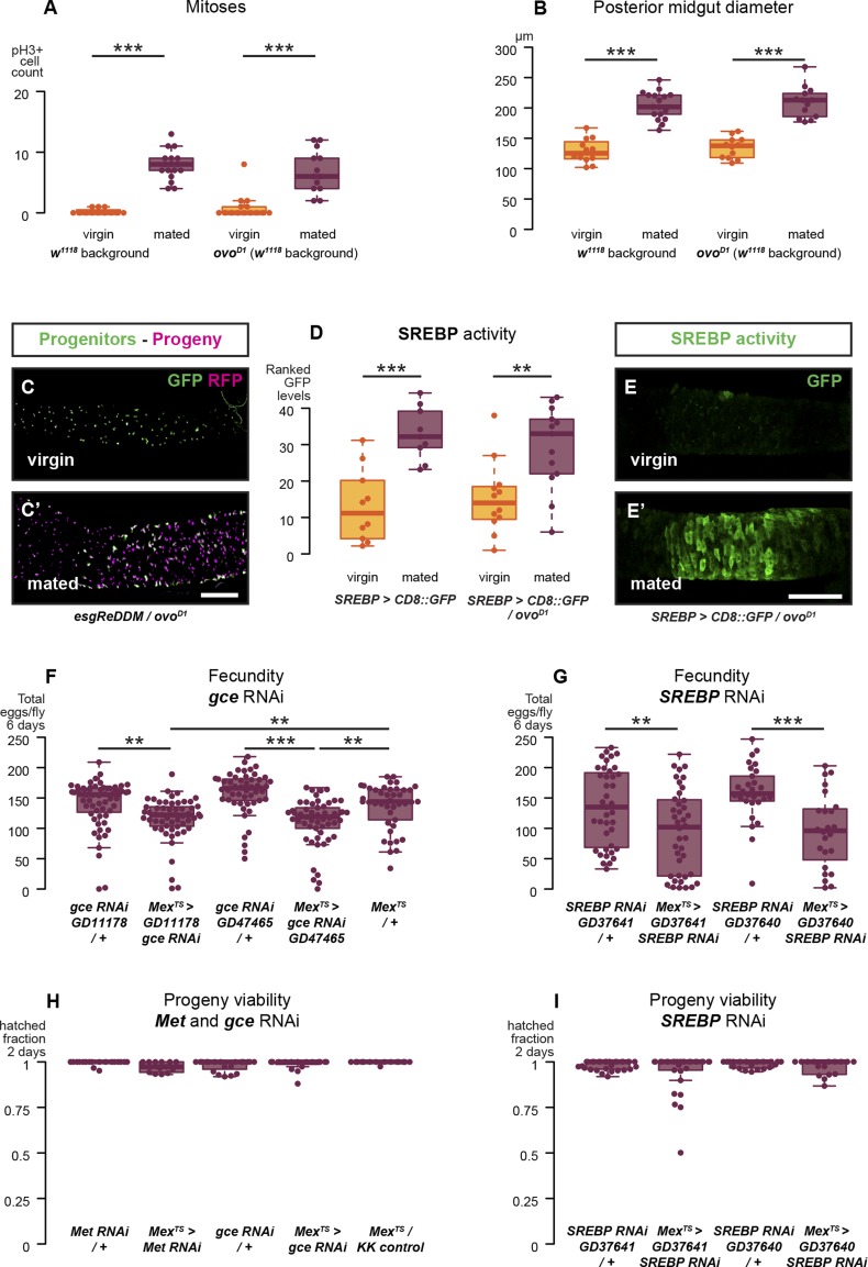 Figure 4—figure supplement 1.