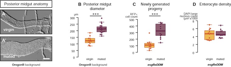 Figure 1—figure supplement 1.