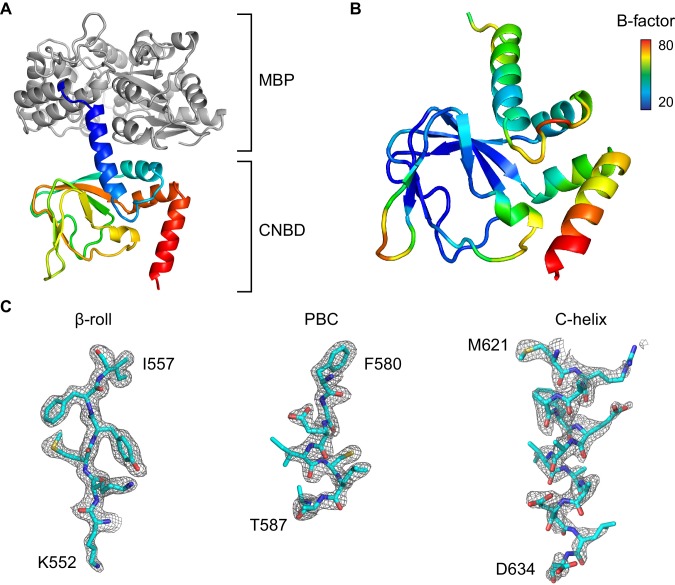 Figure 4—figure supplement 1.