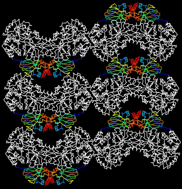 Figure 4—figure supplement 3.