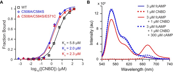 Figure 1—figure supplement 1.