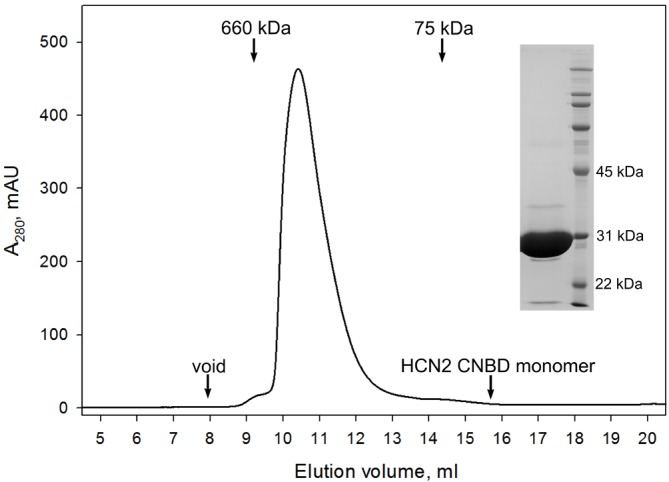 Figure 3—figure supplement 3.