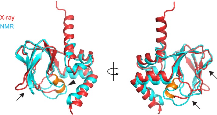 Figure 4—figure supplement 2.