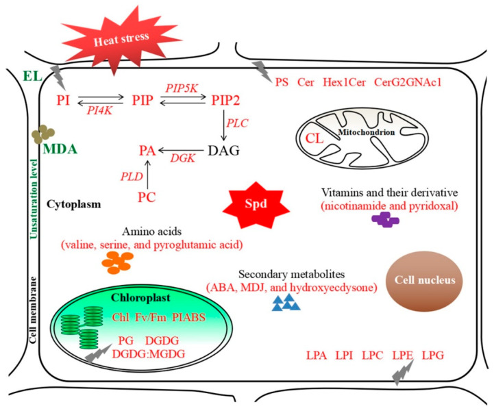 Figure 10