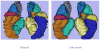 Fig. 4