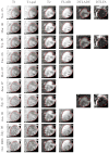 Fig. 8