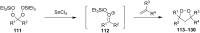 Scheme 29