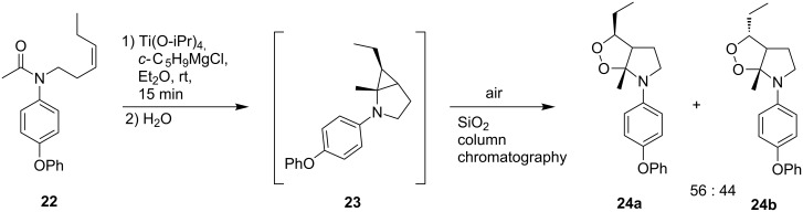 Scheme 8