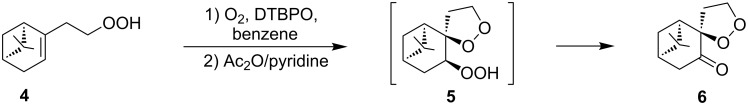 Scheme 2