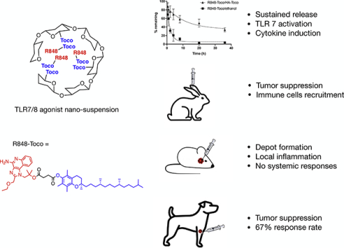 graphic file with name nihms-1533054-f0001.jpg