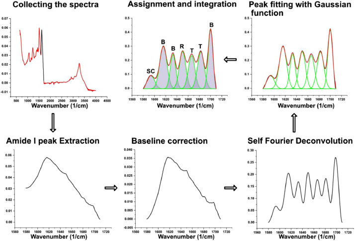 Fig 3: