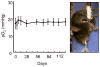 Figure 23