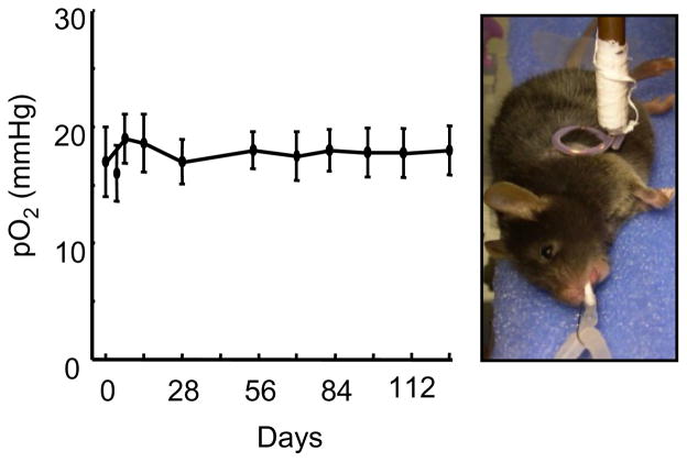 Figure 23