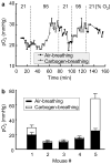 Figure 20