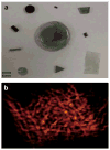 Figure 19