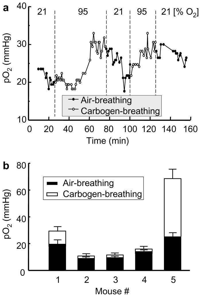 Figure 20