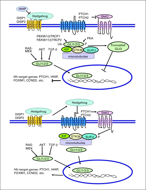 Fig A1.