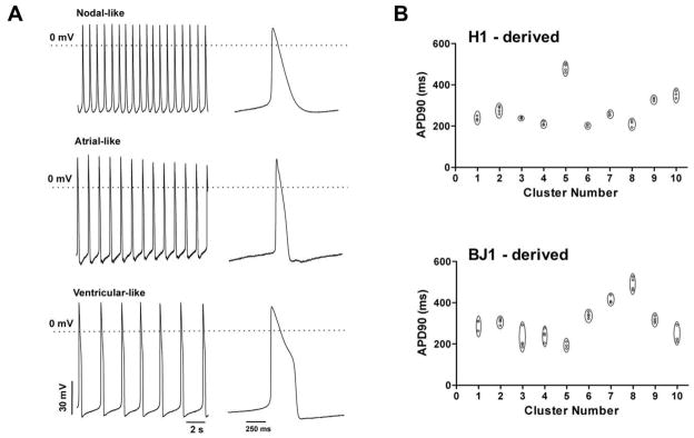 Fig. 3