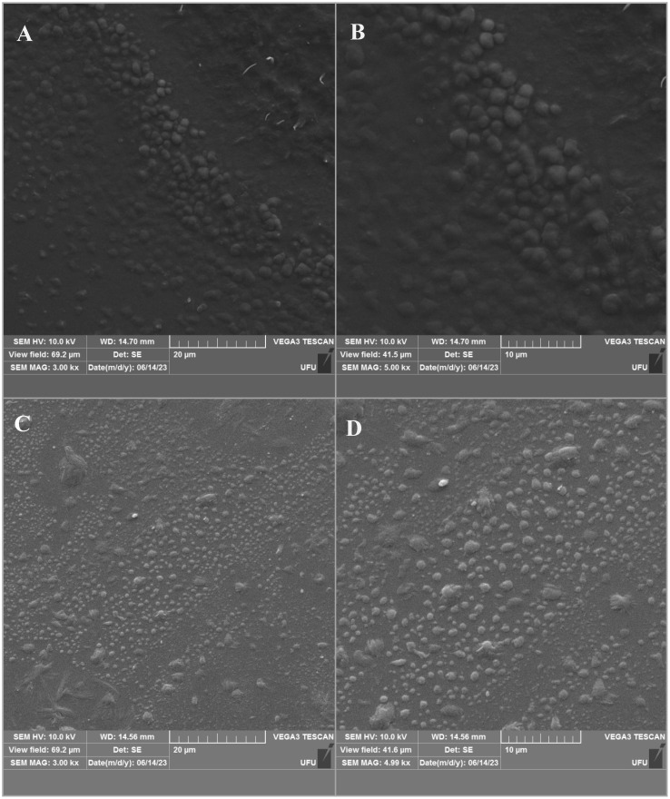 Figure 4