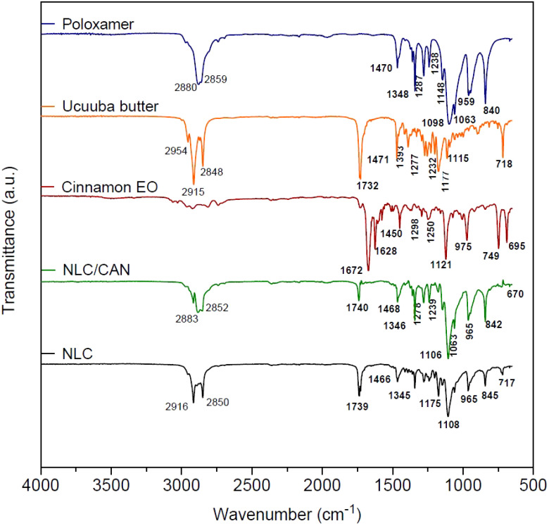 Figure 2