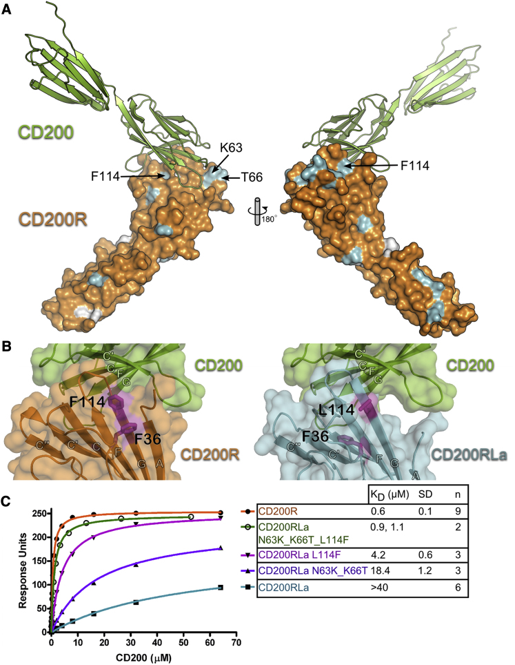 Figure 6