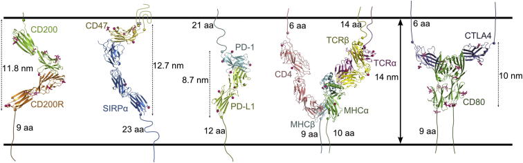 Figure 7