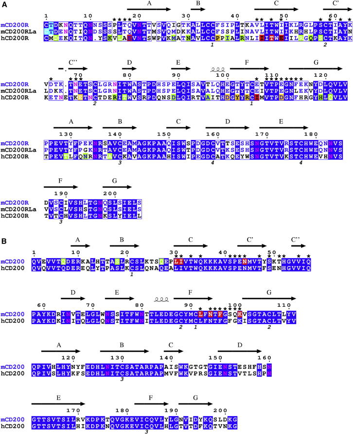 Figure 4