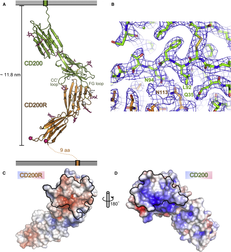 Figure 3