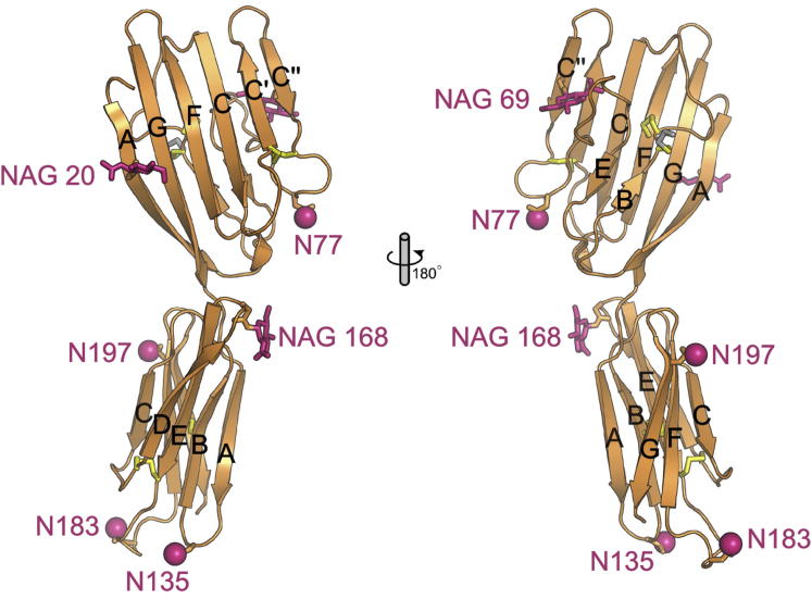 Figure 2