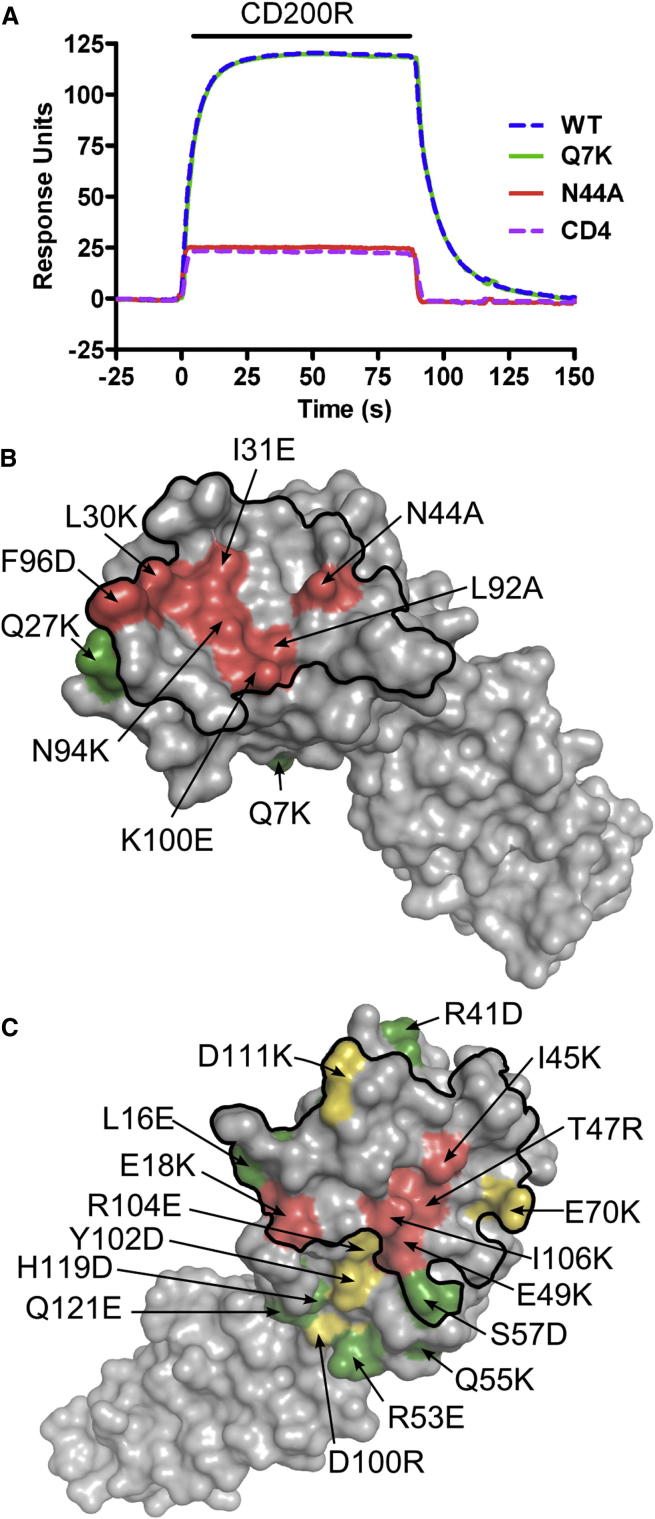 Figure 5