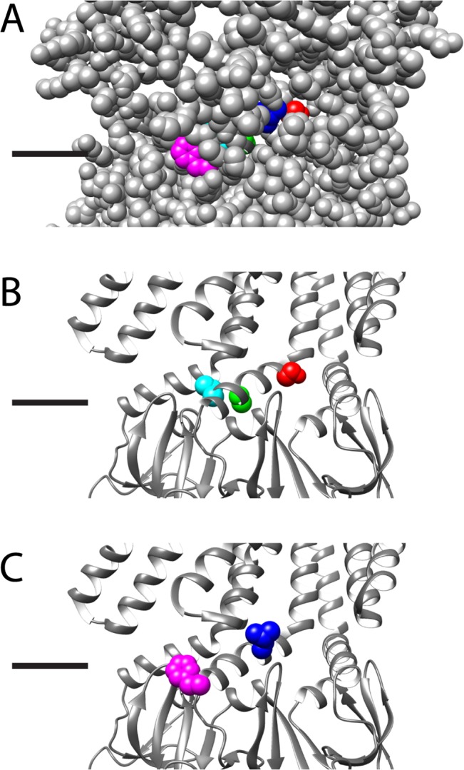 Fig 6