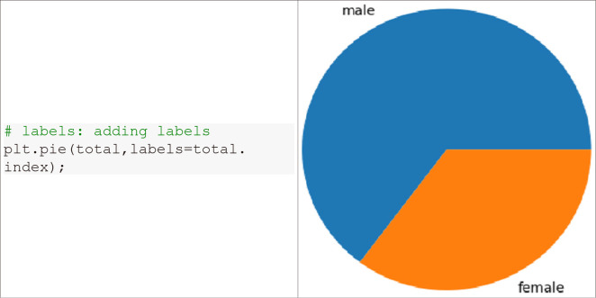 Fig. 19