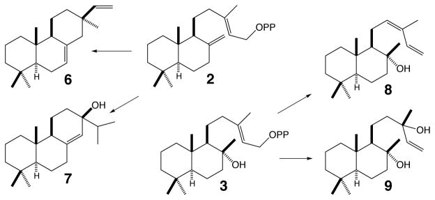 Scheme 3