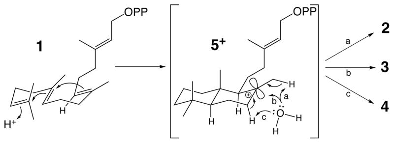 Scheme 2