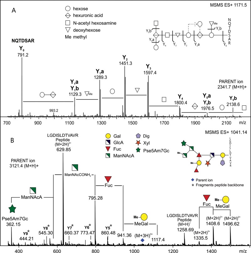 Fig. 4.