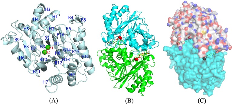 Figure 1