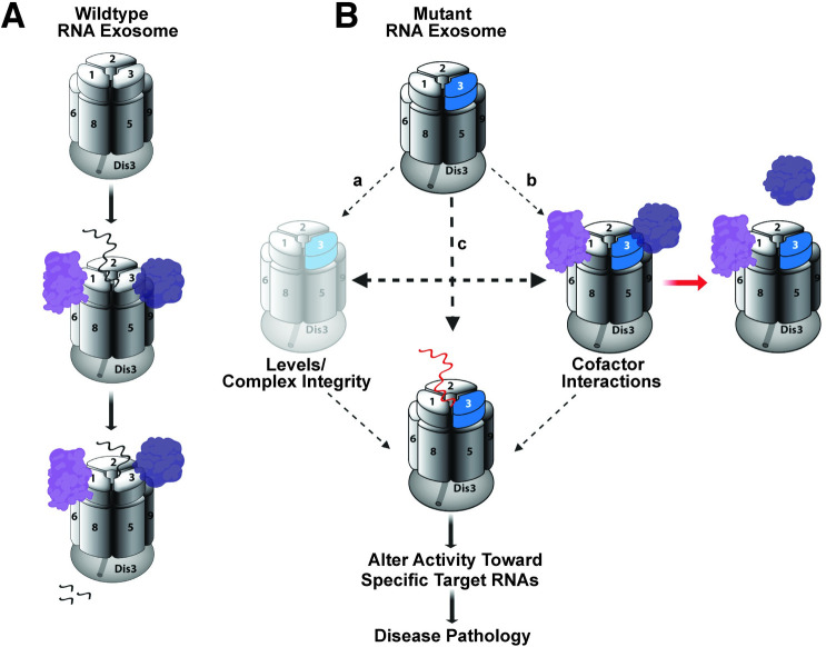 Fig 10