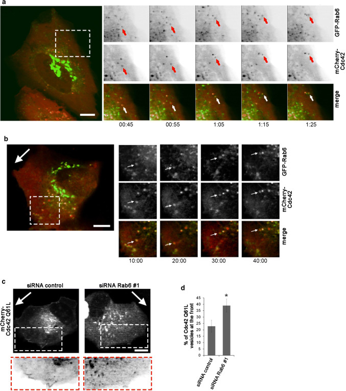 Fig. 4