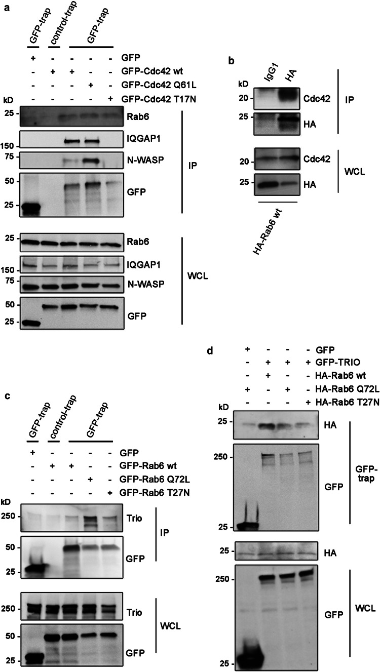 Fig. 5