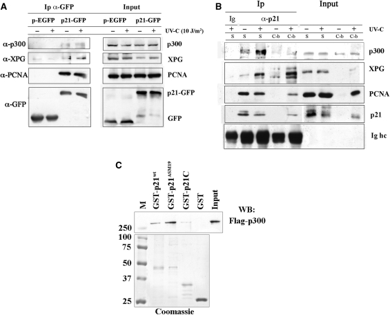 Figure 2.