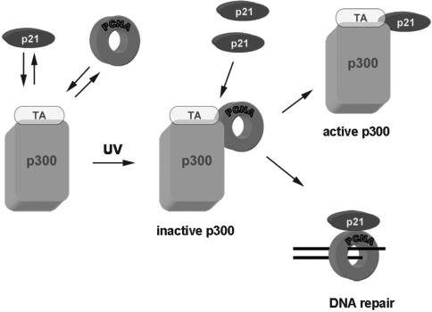 Figure 7.