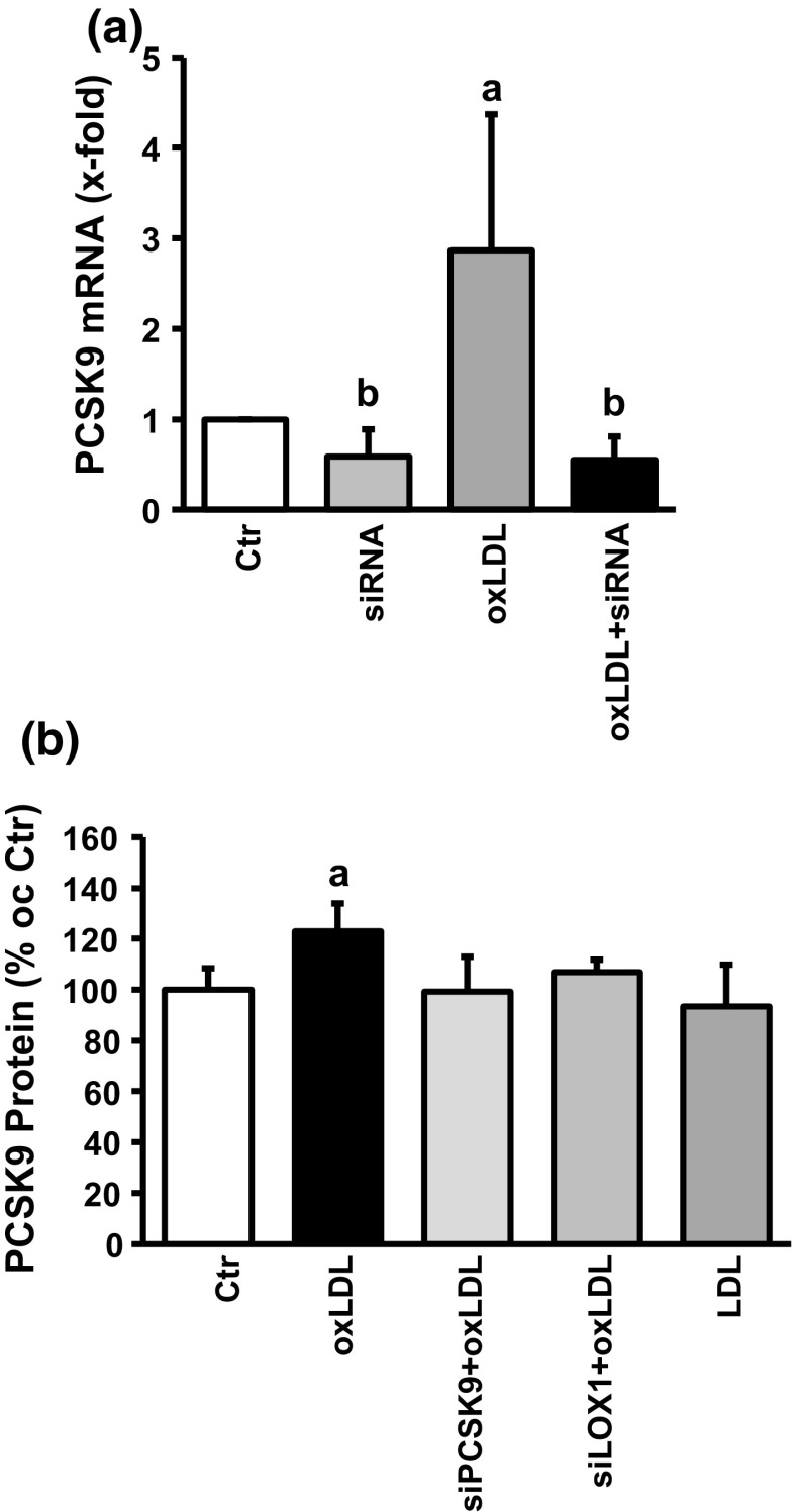 Fig. 6