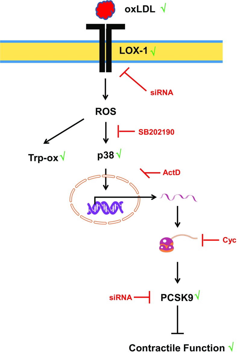 Fig. 8