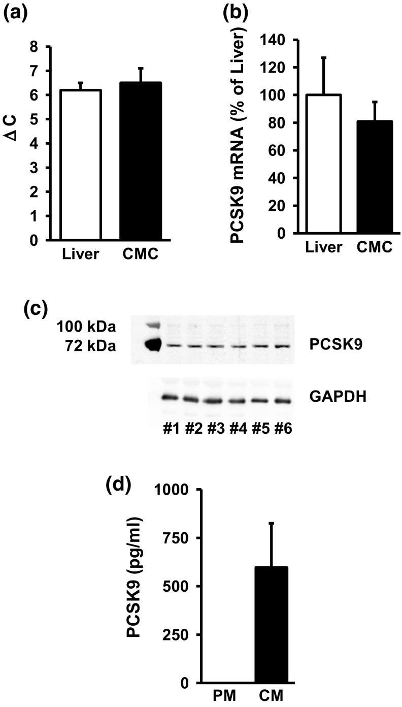 Fig. 5