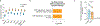Extended Data Fig 10.